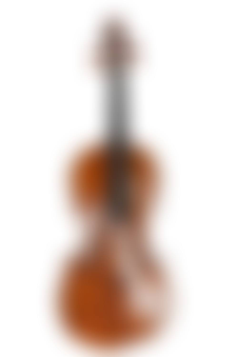ITALIAN FULL-SIZE VIOLIN (preview)