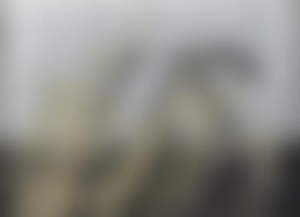 "US" (preview)