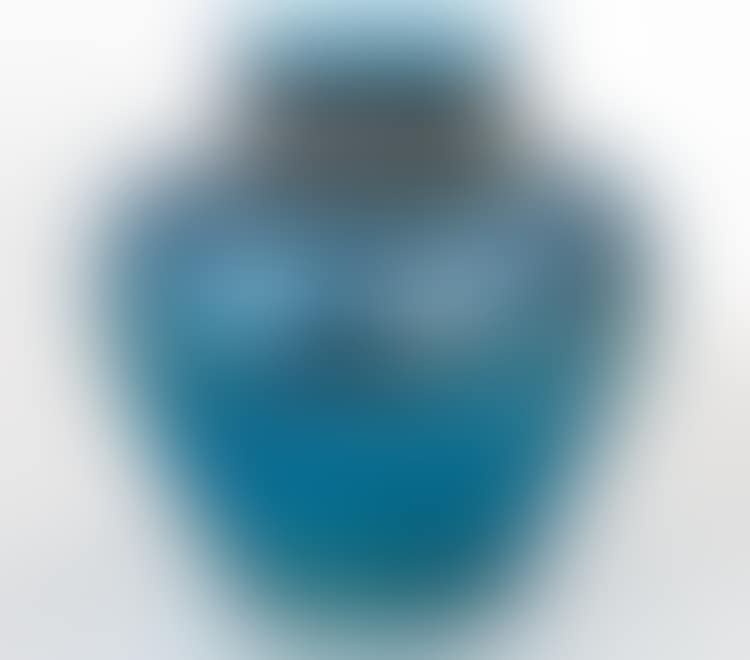 VASE (preview)