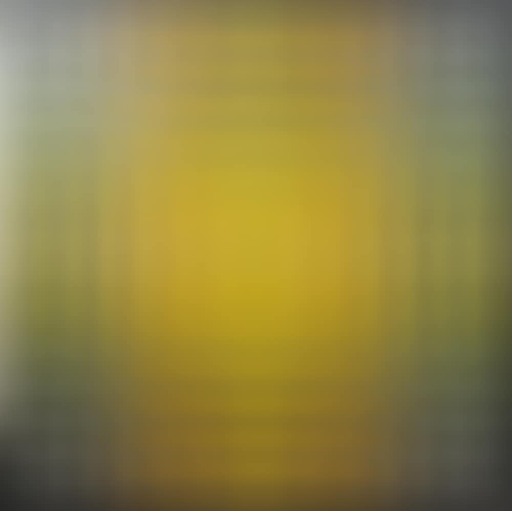 STRUCTURE AUBIGUE (preview)