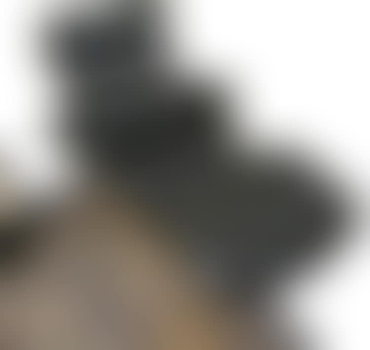 LOUNGE CHAIR & OTTOMAN (preview)