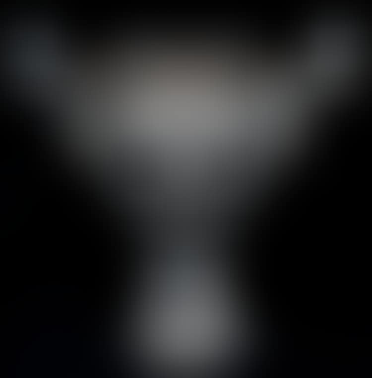 TROPHY VASE (preview)