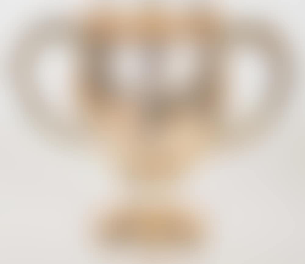 STERLING DOUBLE HANDLE PRESENTATION TROPHY (preview)