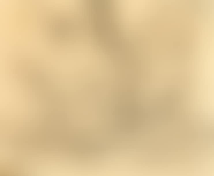 Landscape (preview)