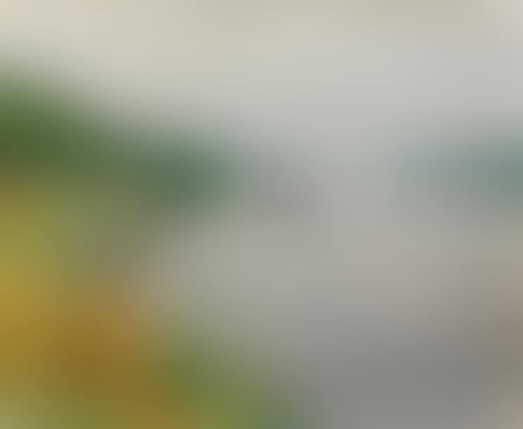 Méricourt bank (preview)