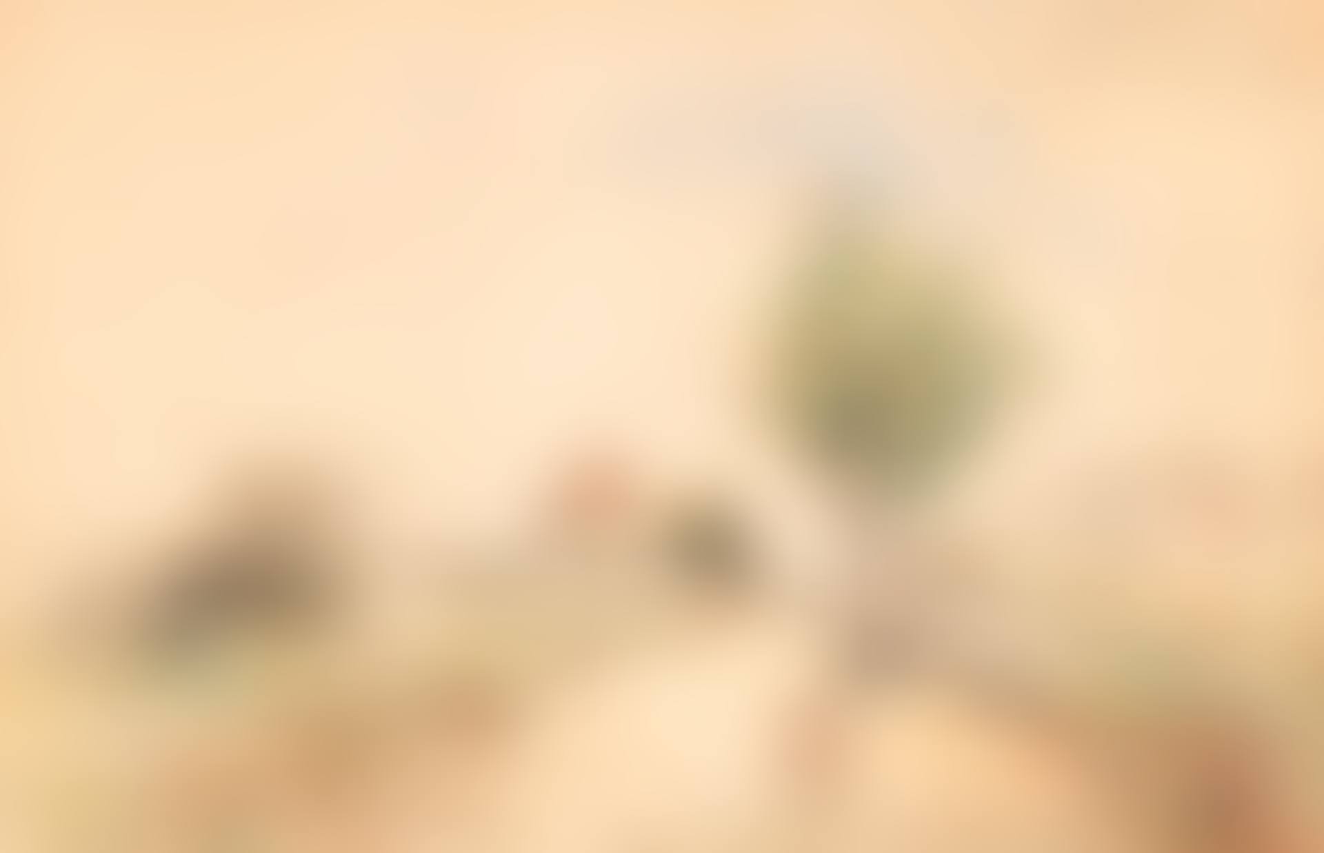 Wooded path and house (preview)