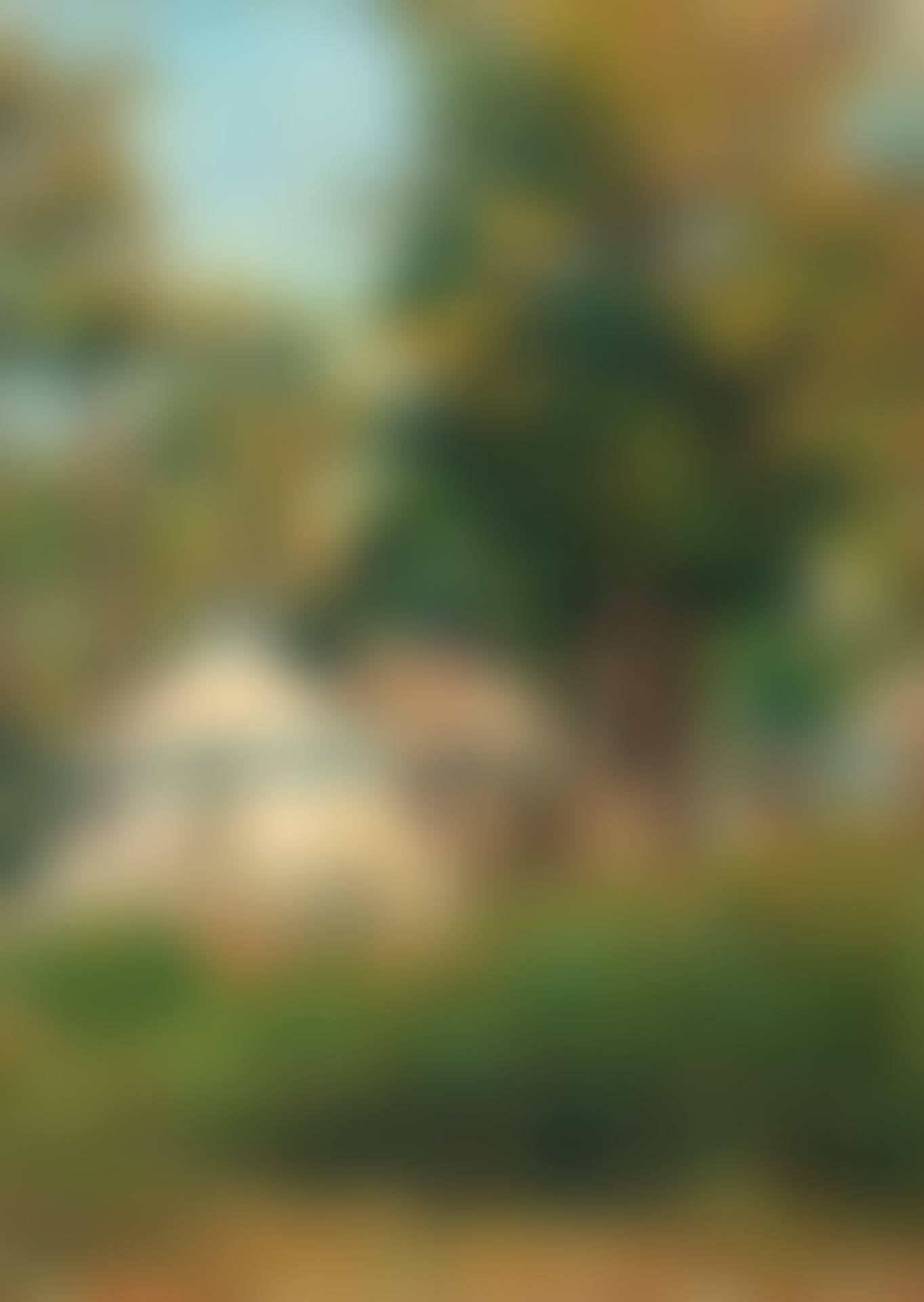 The military camp (preview)