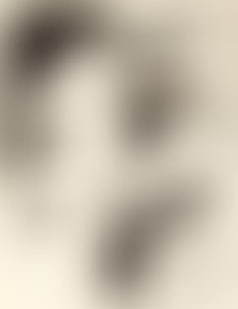 The Old King (preview)