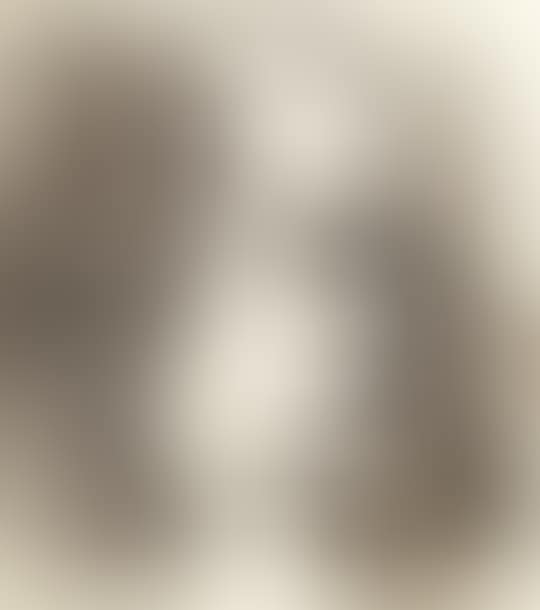Portrait of Goethe (preview)