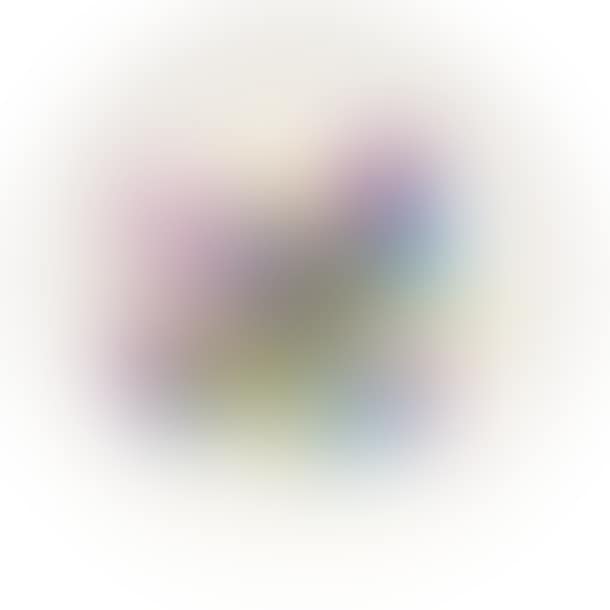 The orchid (preview)
