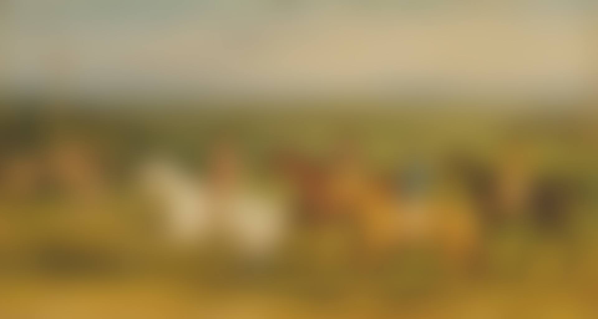 Confidence; and Disappointment (preview)