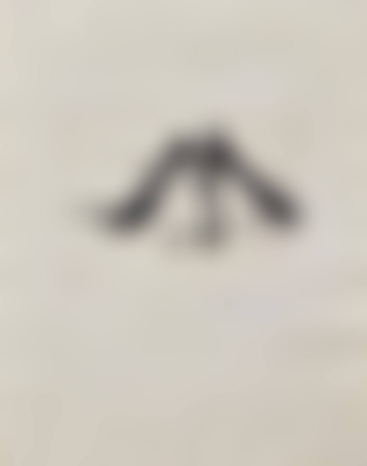 Calligraphic Study III (preview)