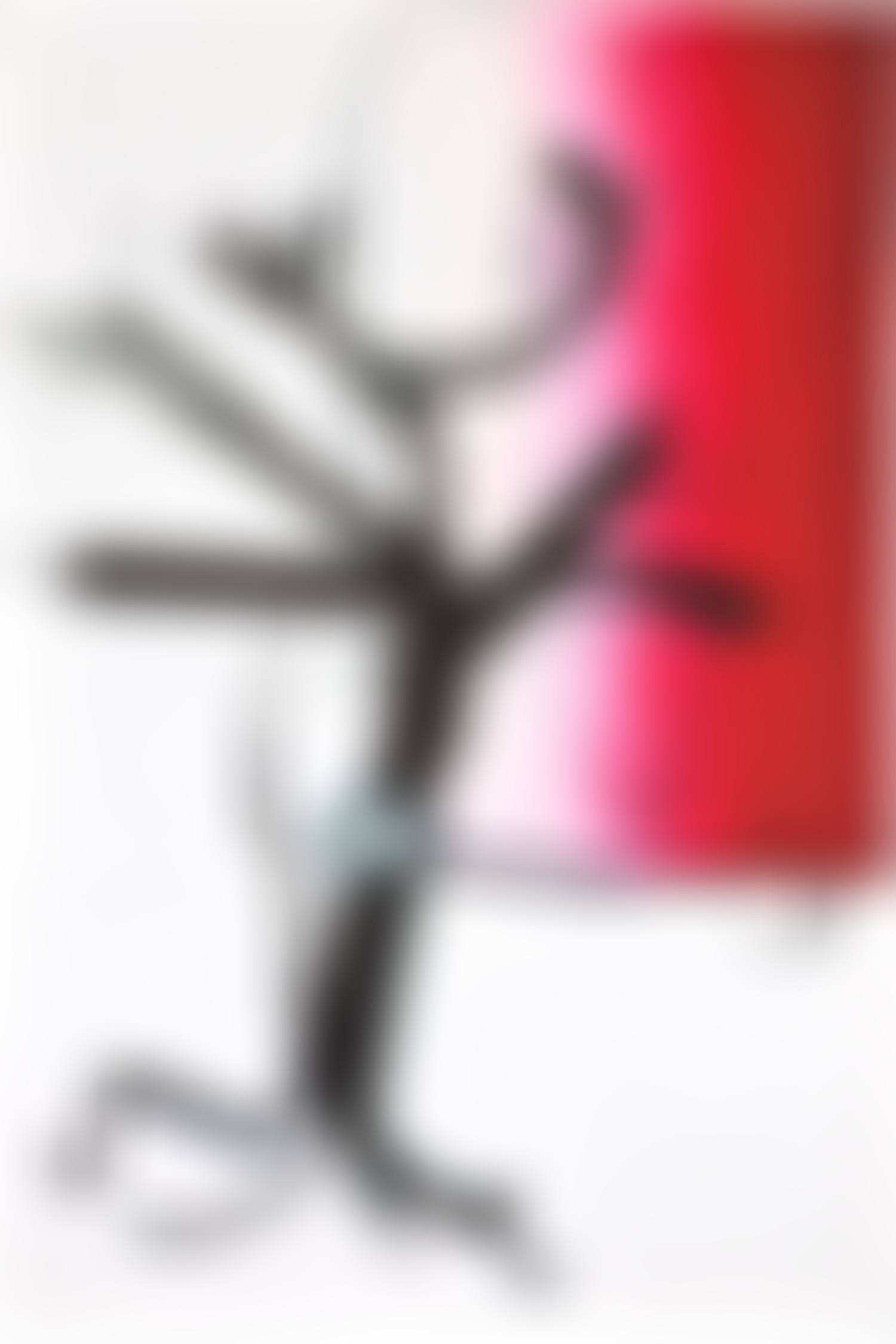 Baum (preview)
