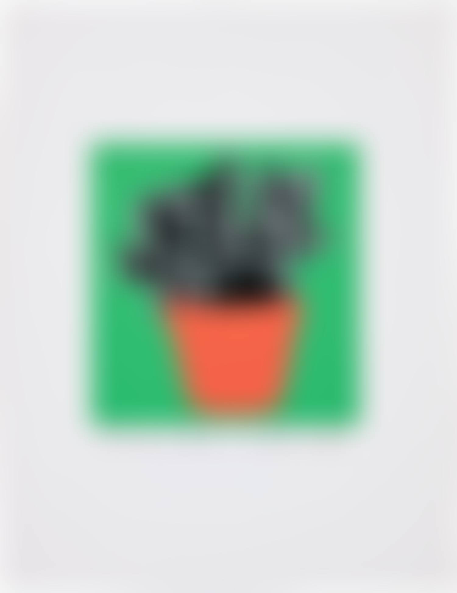 8 Plants x 6 = 48: one plate (H. 96) (preview)