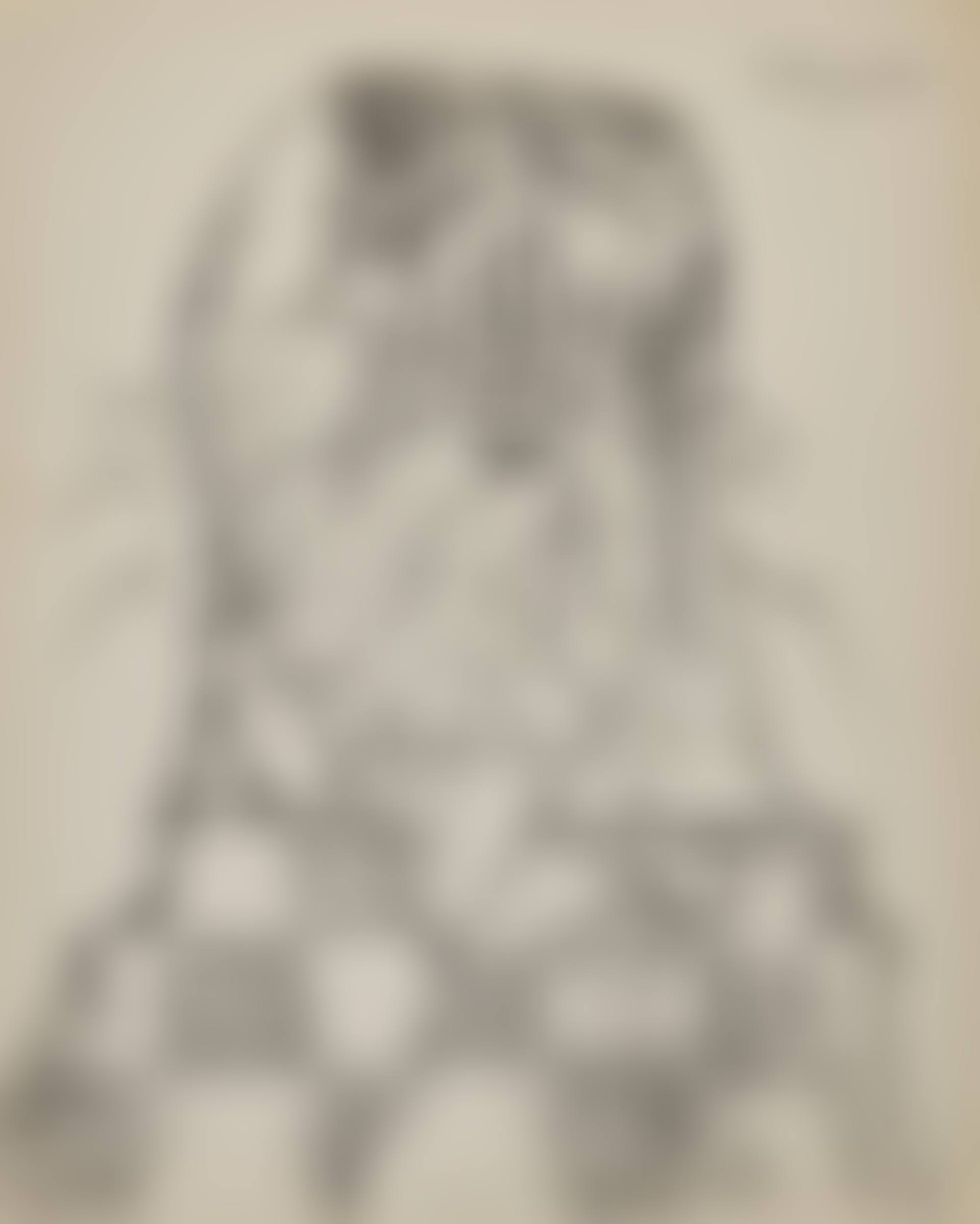 Untitled (Man with Beard) (preview)