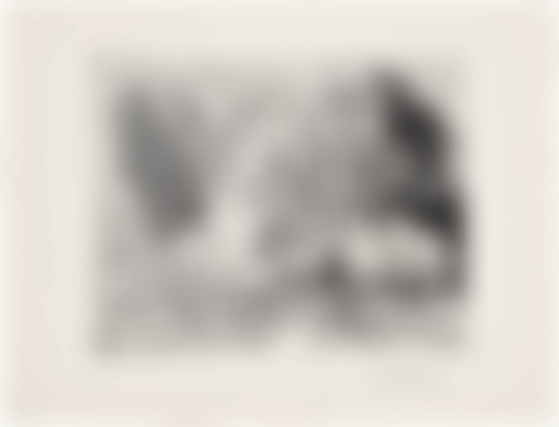 Taureau ailé contemplé par quatre enfants (Winged Bull Watched by Four Children), plate 13 from La Suite Vollard (Bl. 229, Ba. 444) (preview)
