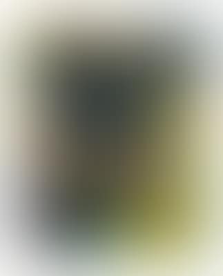 Untitled (preview)