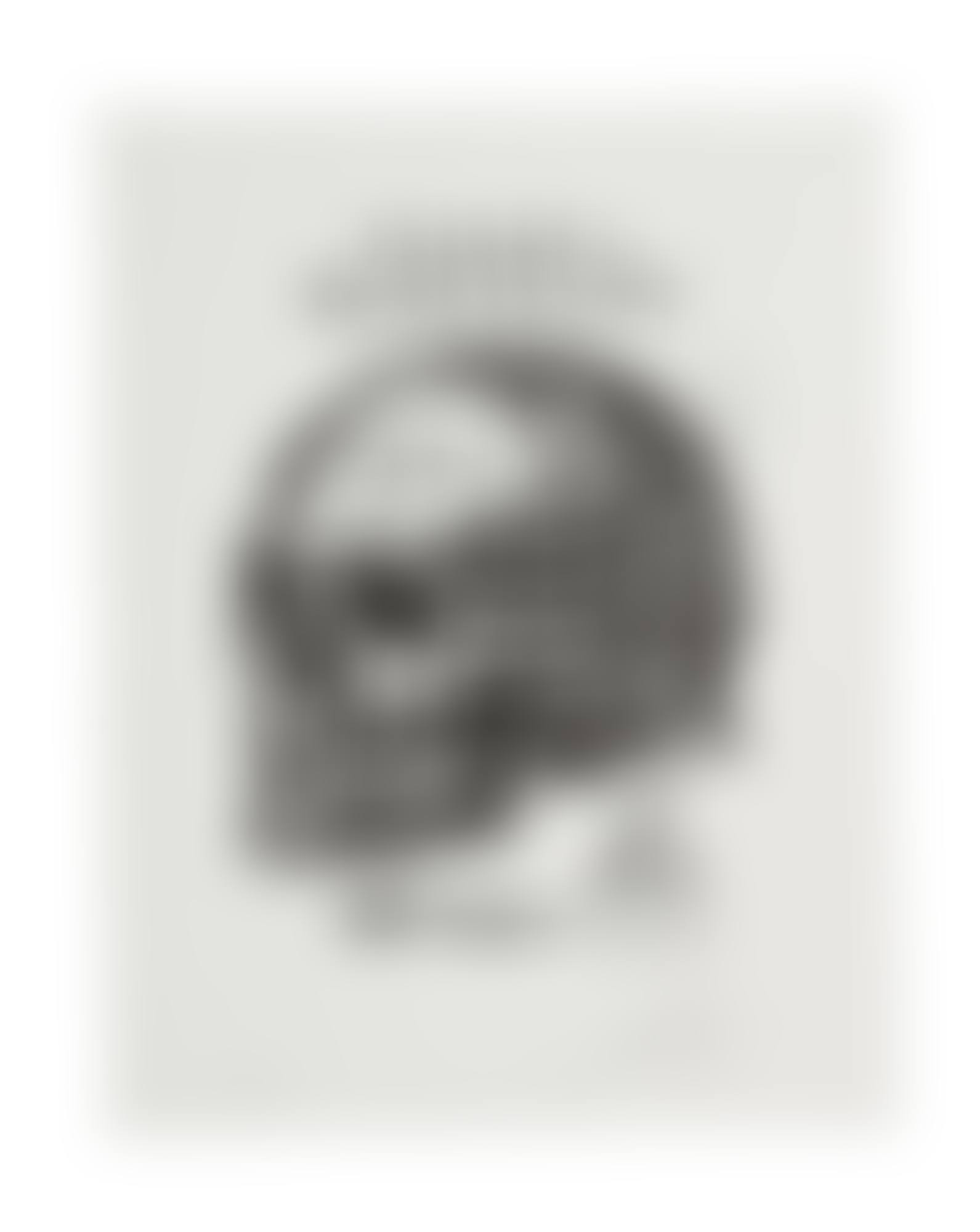 SKULL OF A BLACK PLANET (preview)