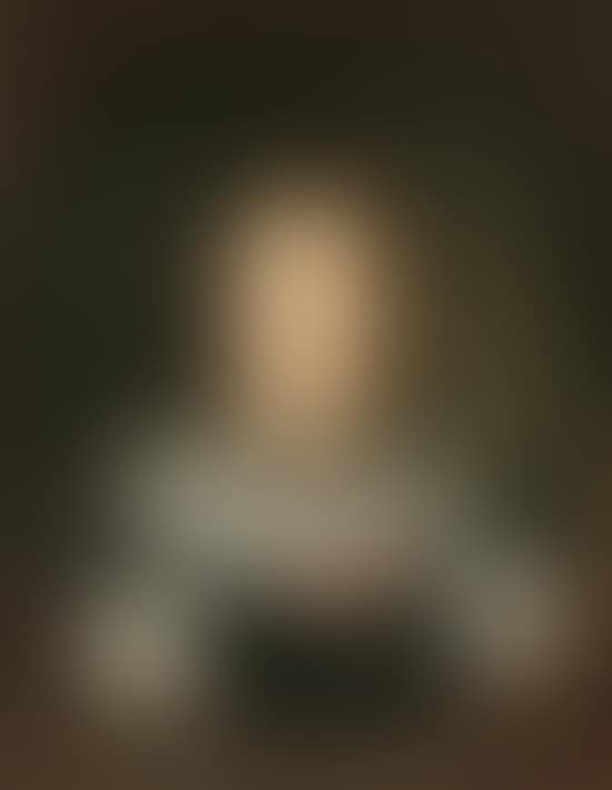 Portrait of a Habsburg Lady (preview)