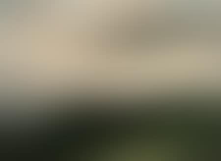 View of Penobscot Bay (preview)