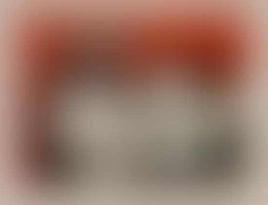 Nature Morte au Fond Rougue (preview)