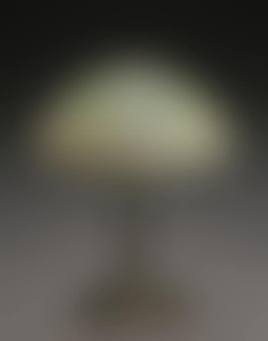 Leaded and Opalescent Glass and Bronze Table Lamp (preview)