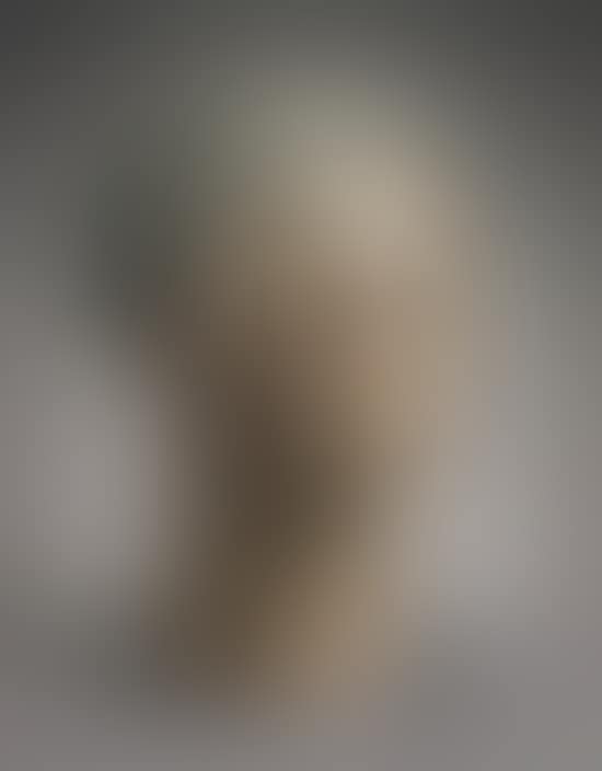 Negro Woman (preview)