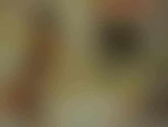 Tanfastic (preview)