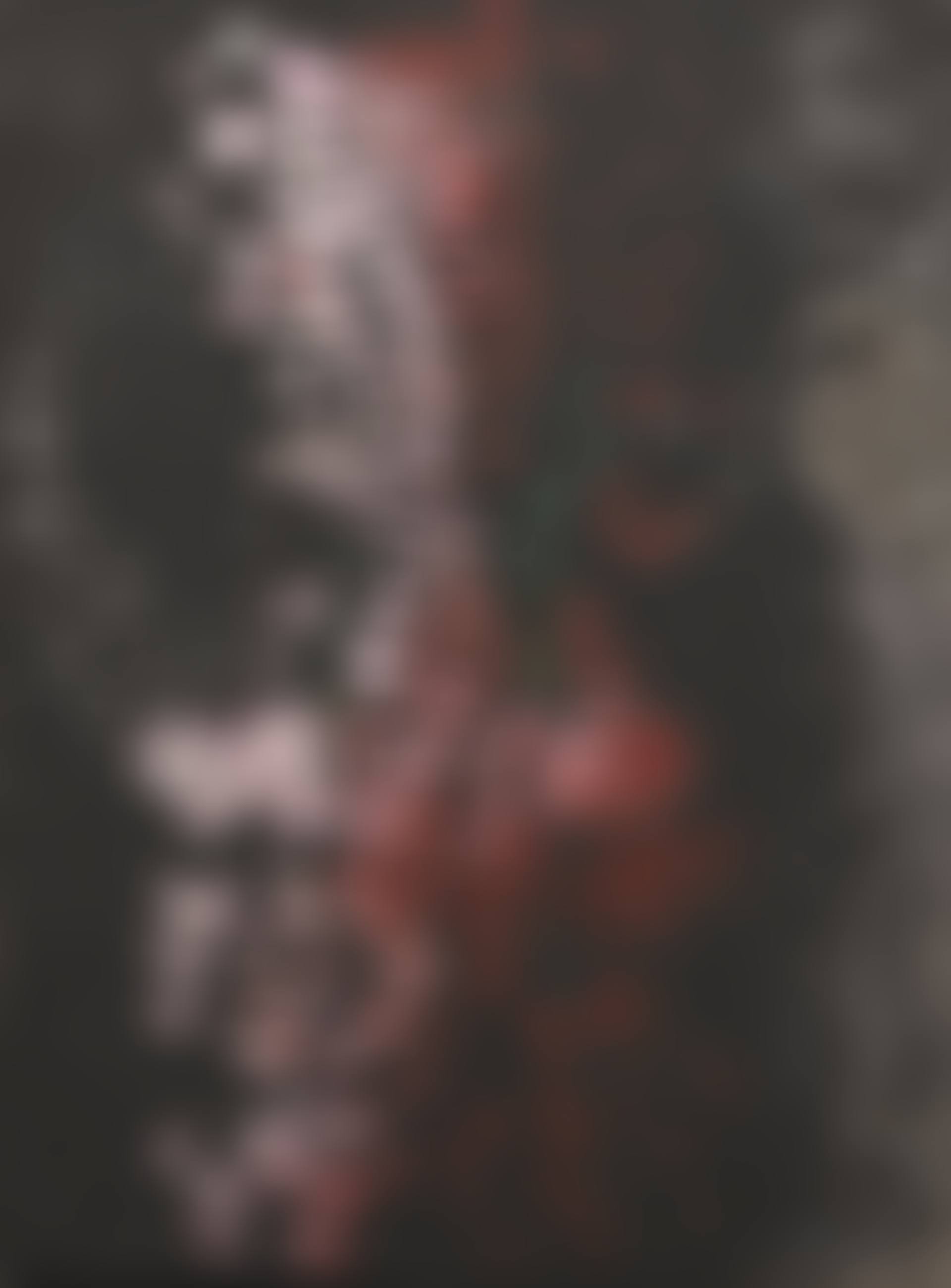 Le Soir tombe (preview)