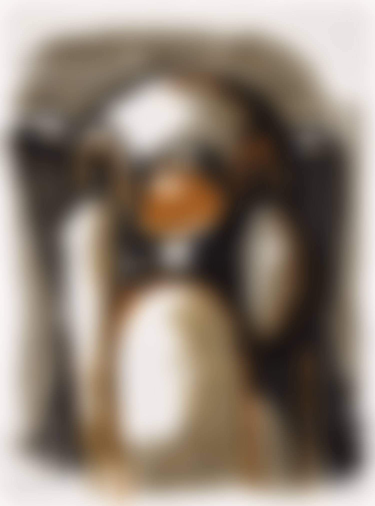 Untitled (preview)