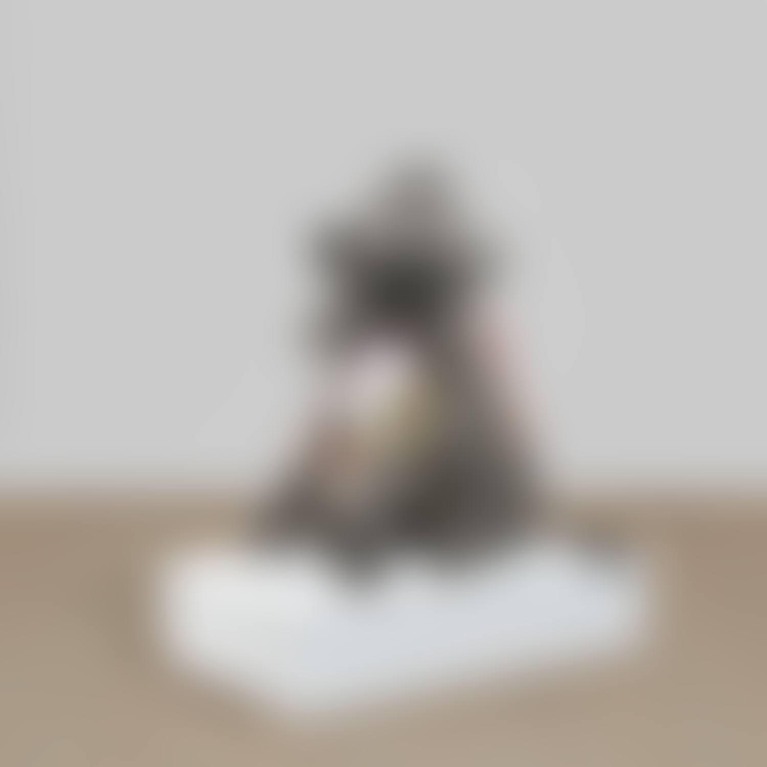 UNTITLED (THE GREEN DONKEY WITH HAT AND BOX & APRONS) (preview)