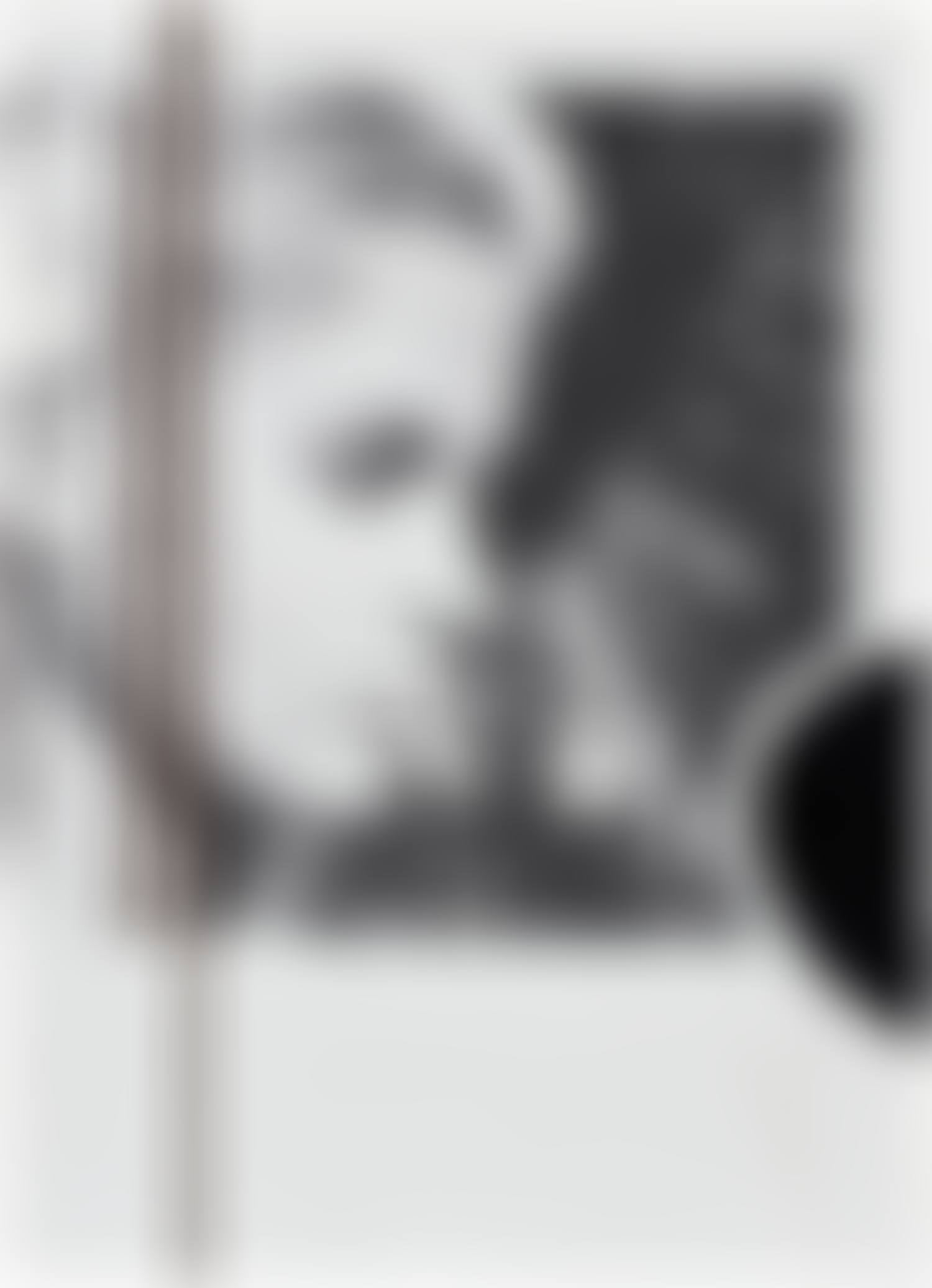 Bibi Andersson "W.E." (preview)