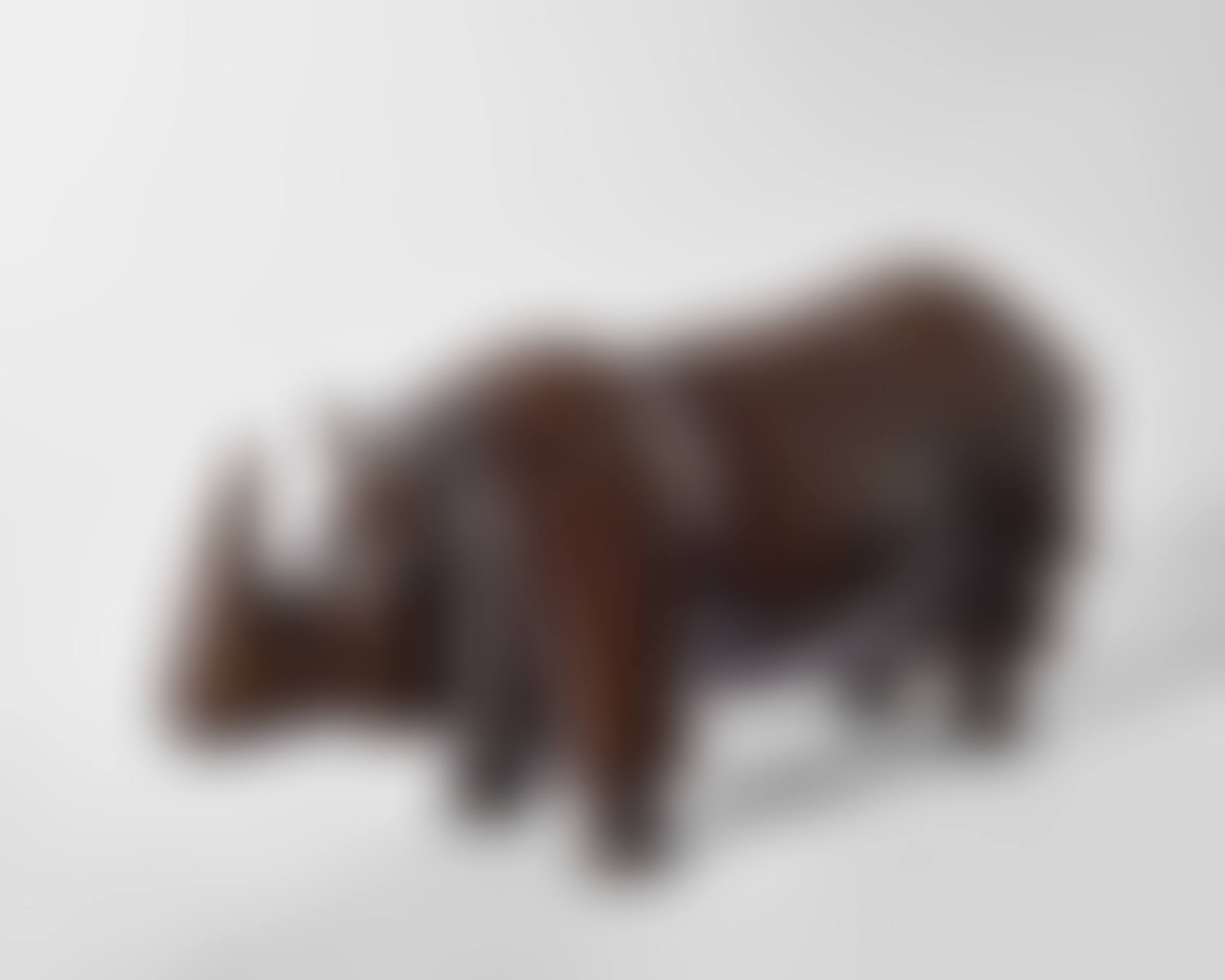 Petit Rhinocéros III (preview)
