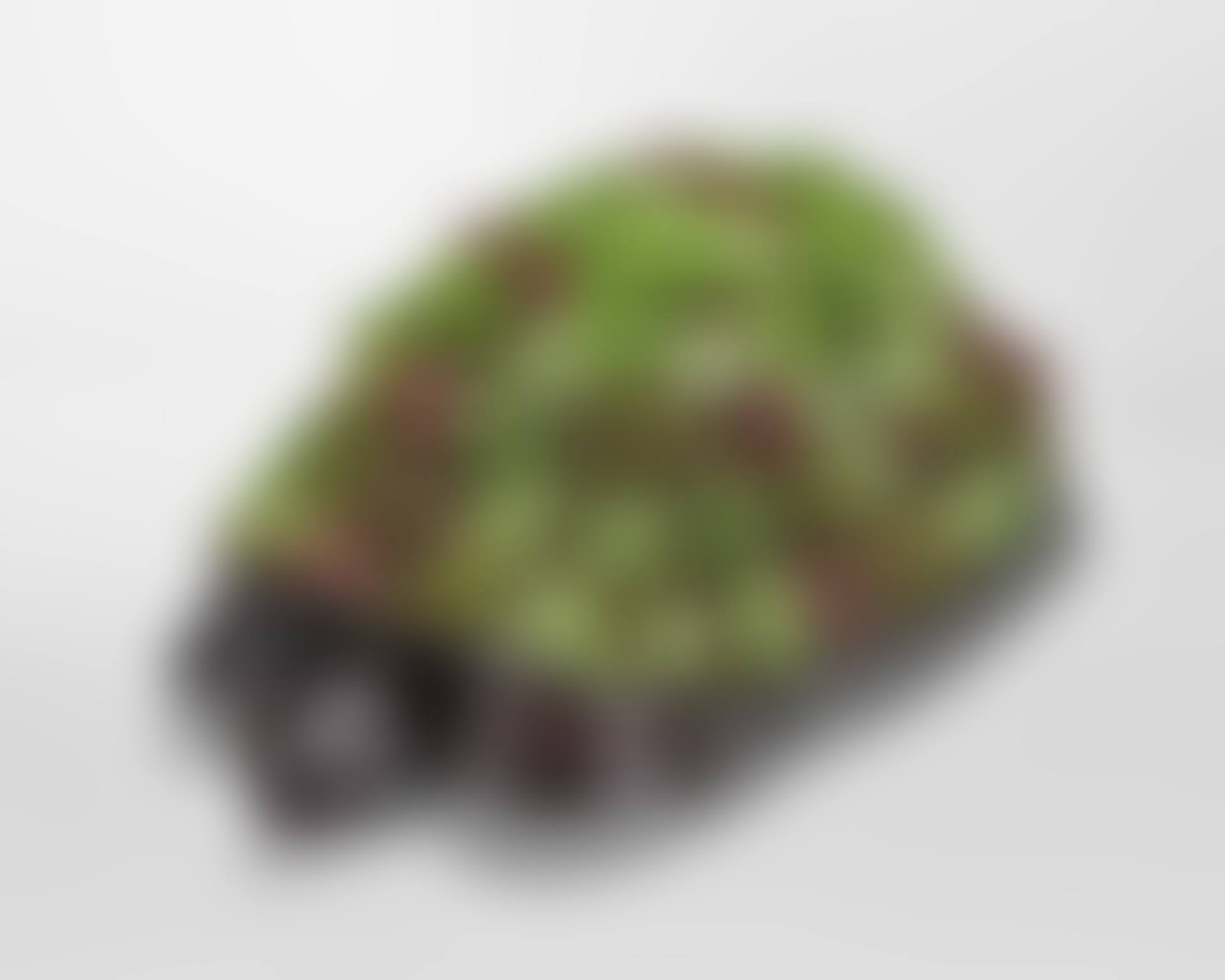 Tortue Topiaire III (preview)