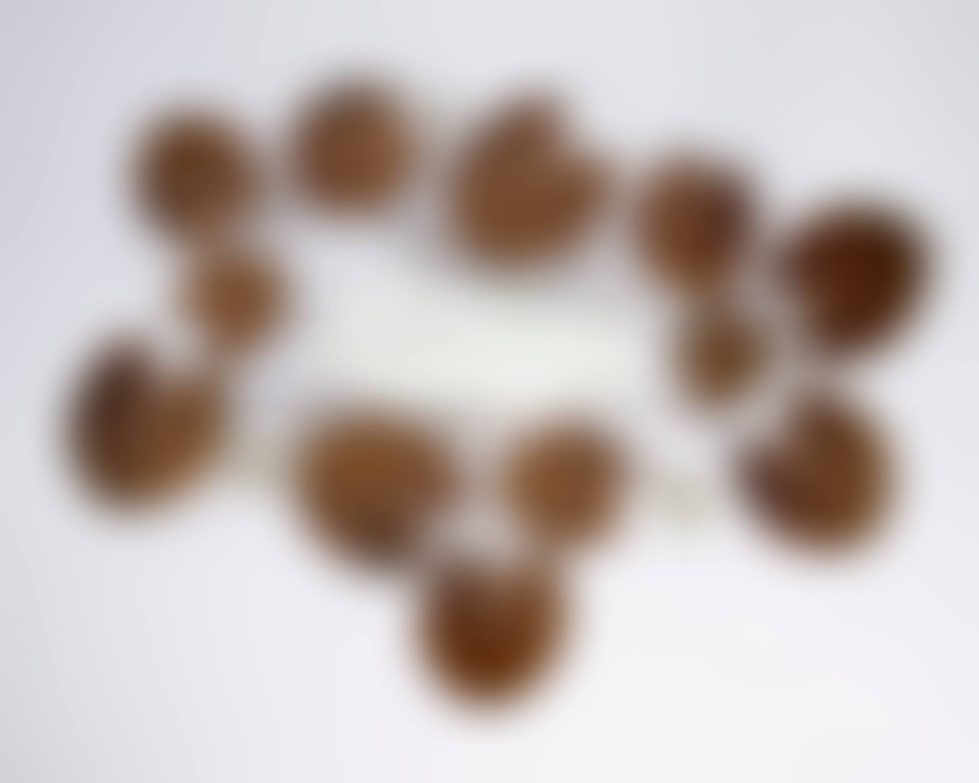 Canard aux Nénuphars (preview)