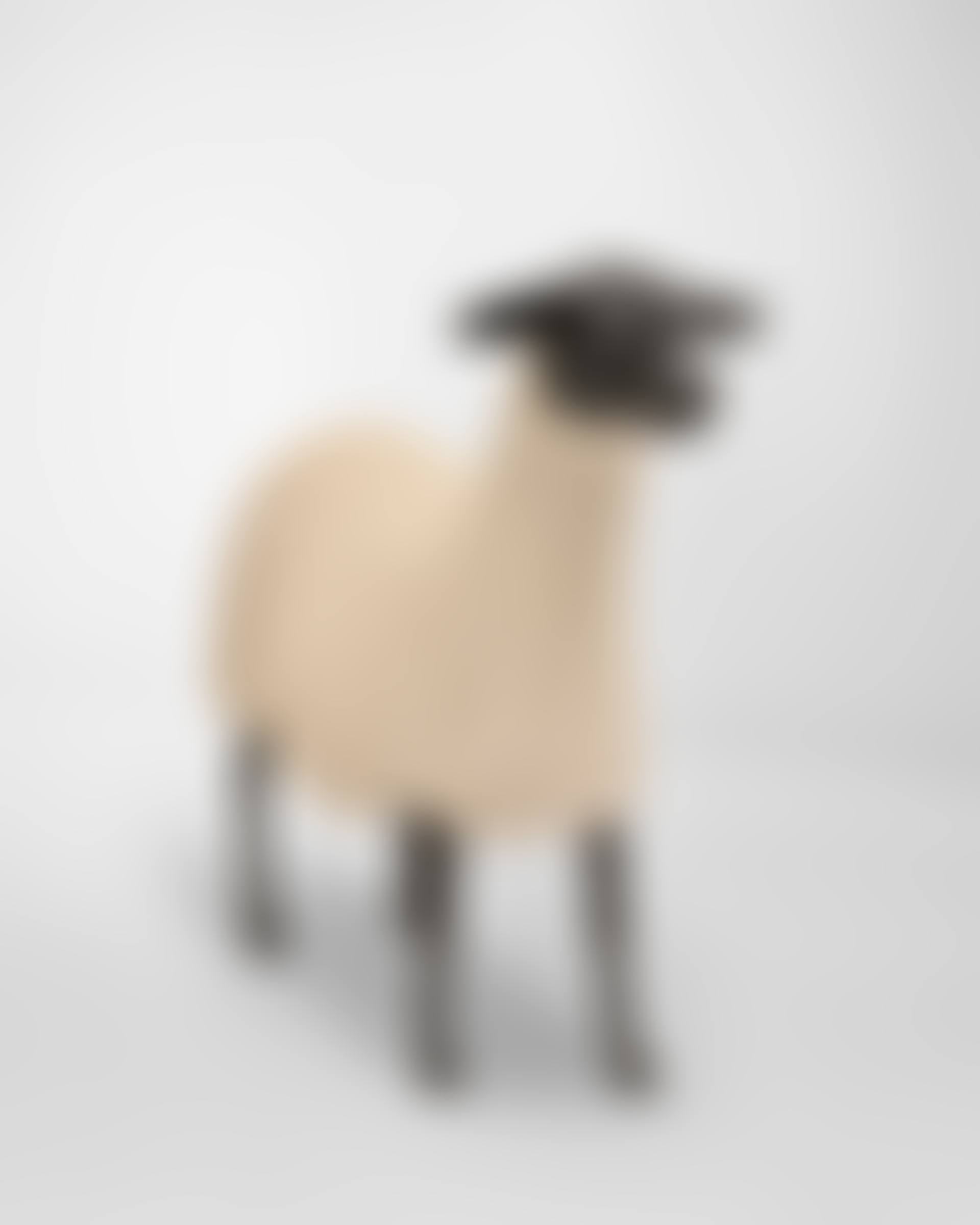 Mouton Transhumant (preview)