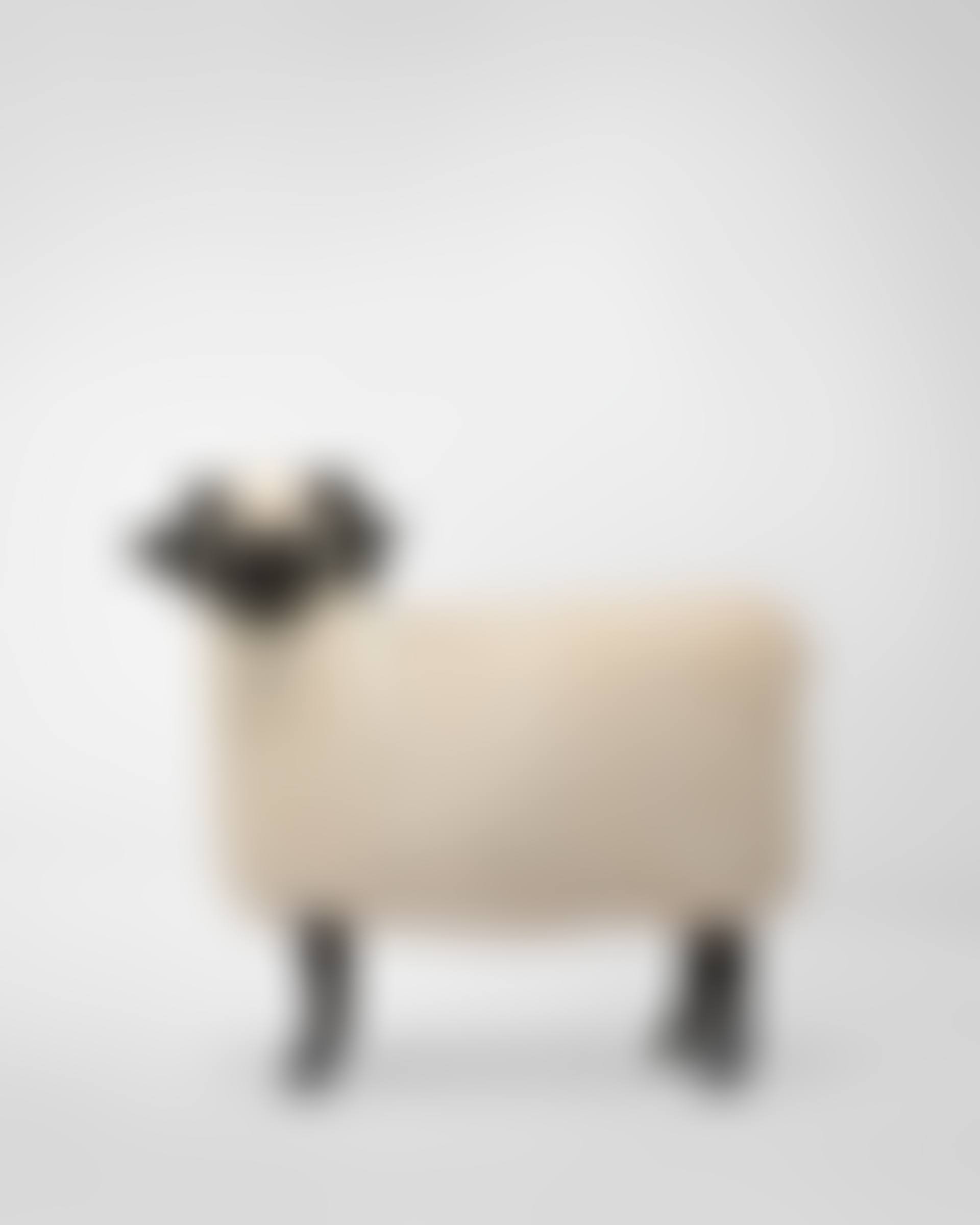Mouton de Pierre, Série Les Nouveaux Moutons (preview)