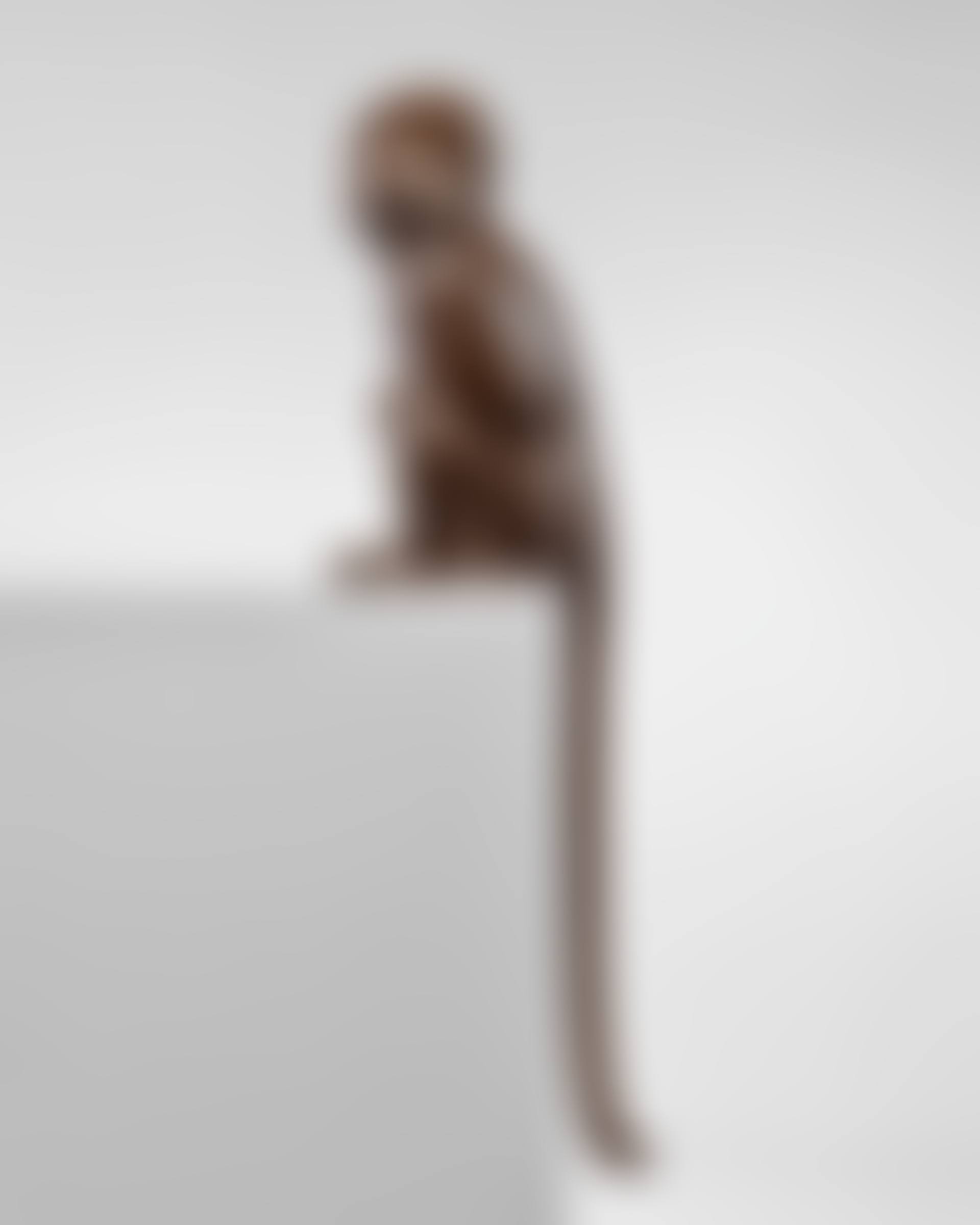 Singe Alternatif IV (preview)