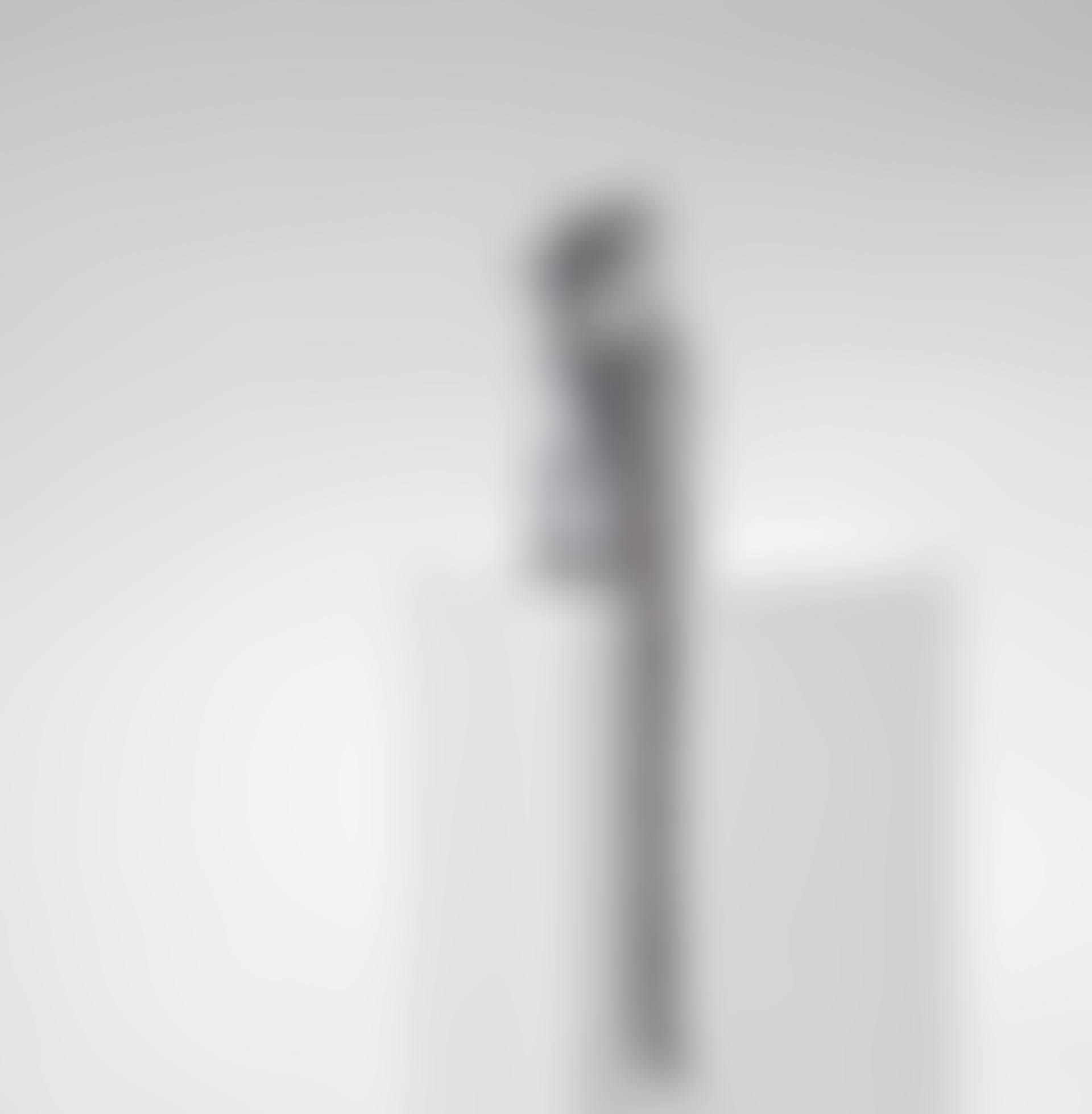 Singe Alternatif IV (preview)