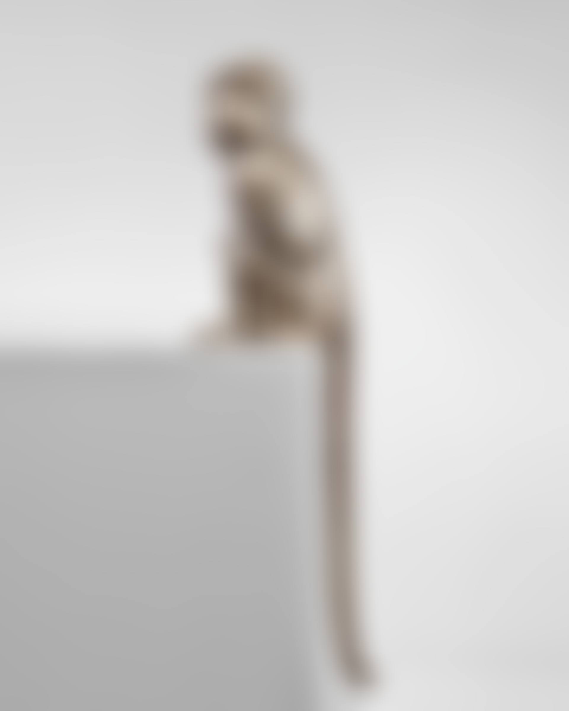 Singe Alternatif SIV (preview)