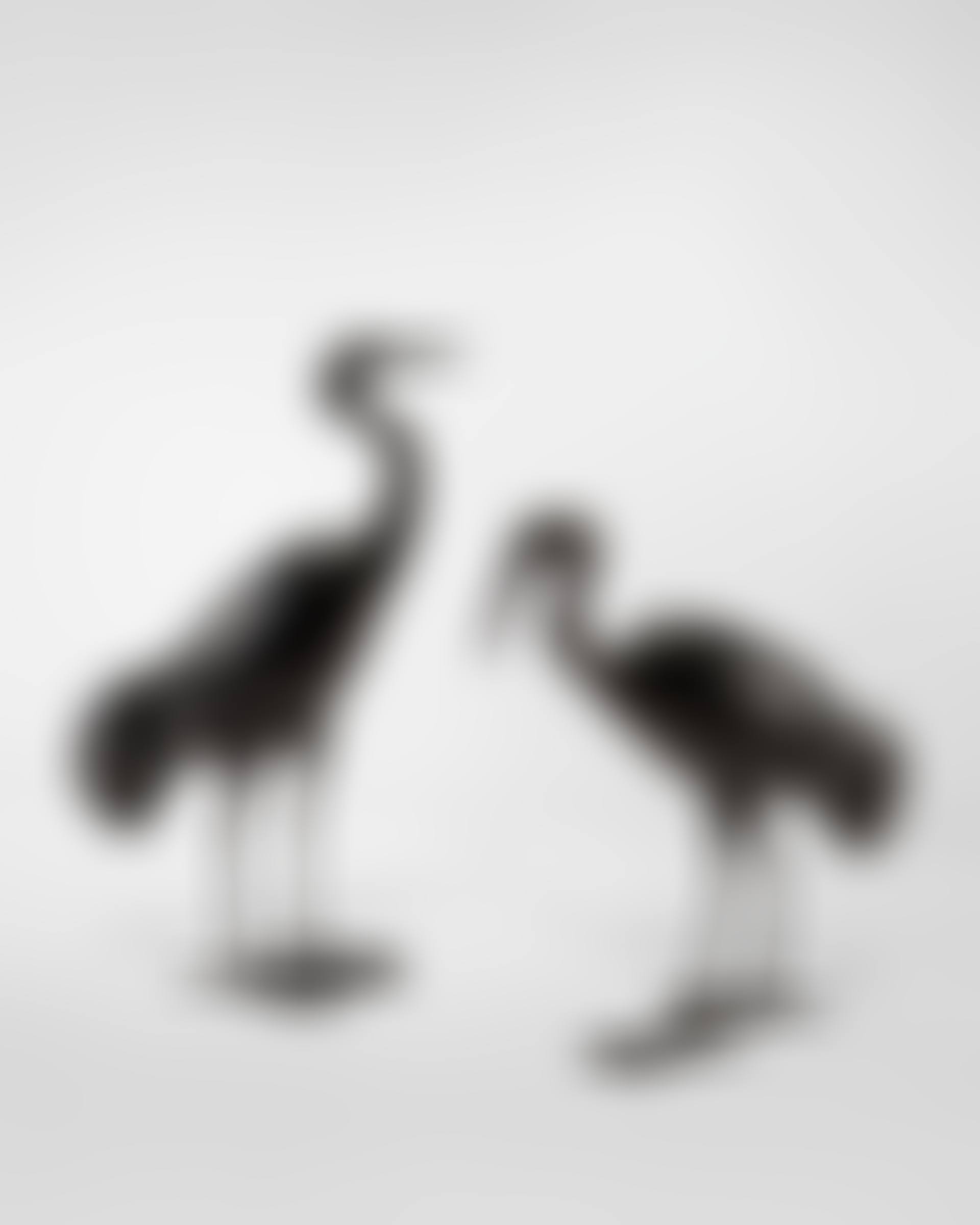 Les Deux Grues (preview)