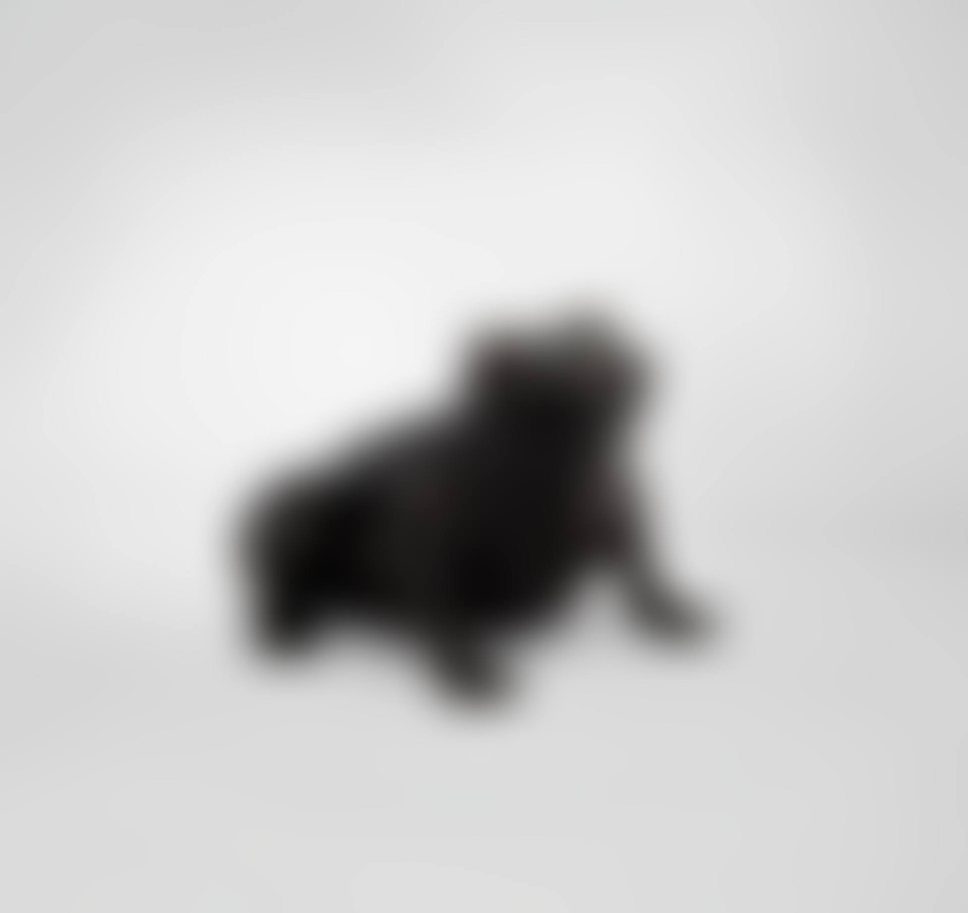 Grenouille Fontaine (preview)