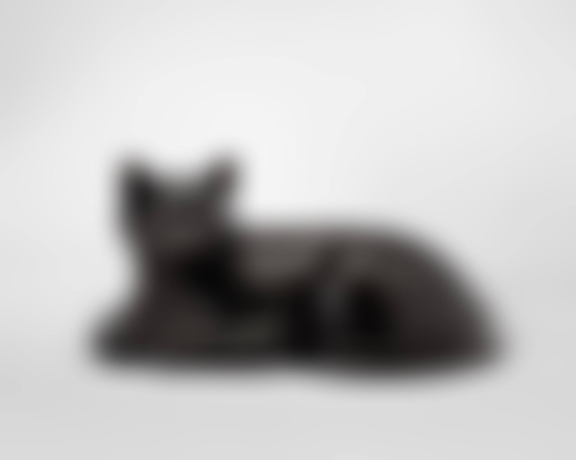 Chat (preview)