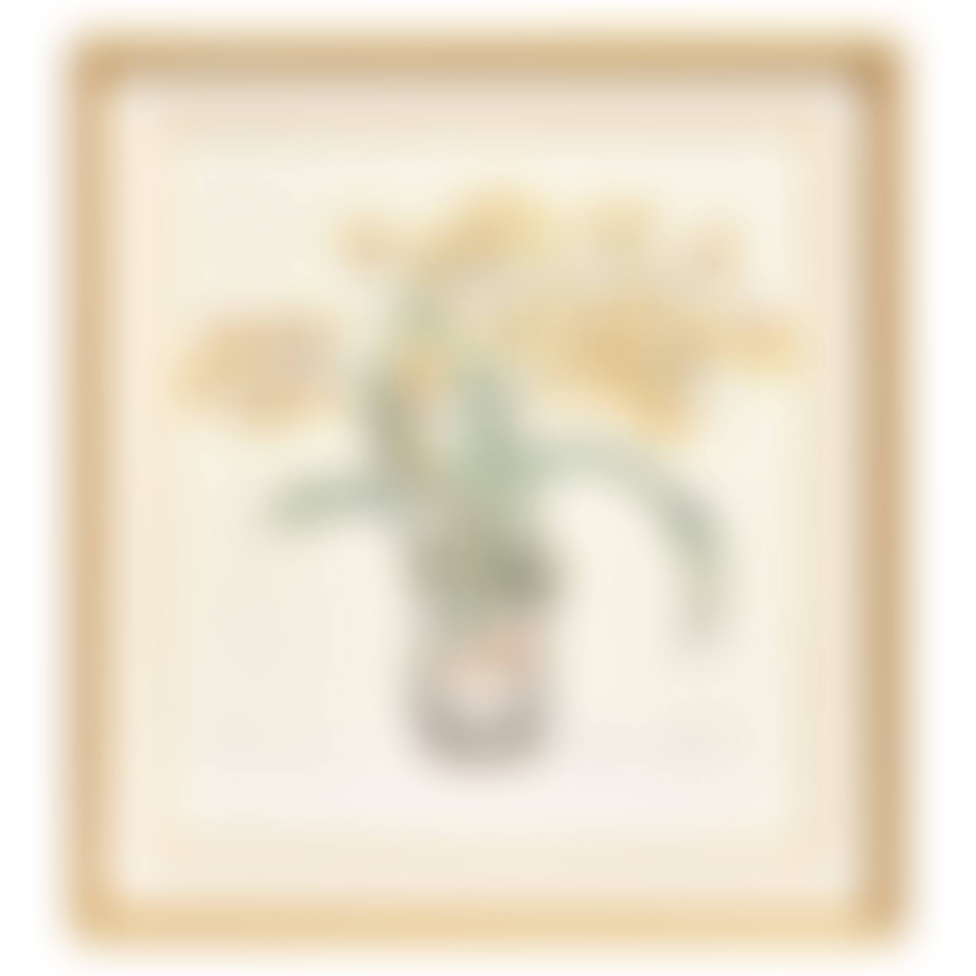 A DIANNE FEINSTEIN DRAWING; "Orchids 2001." (preview)