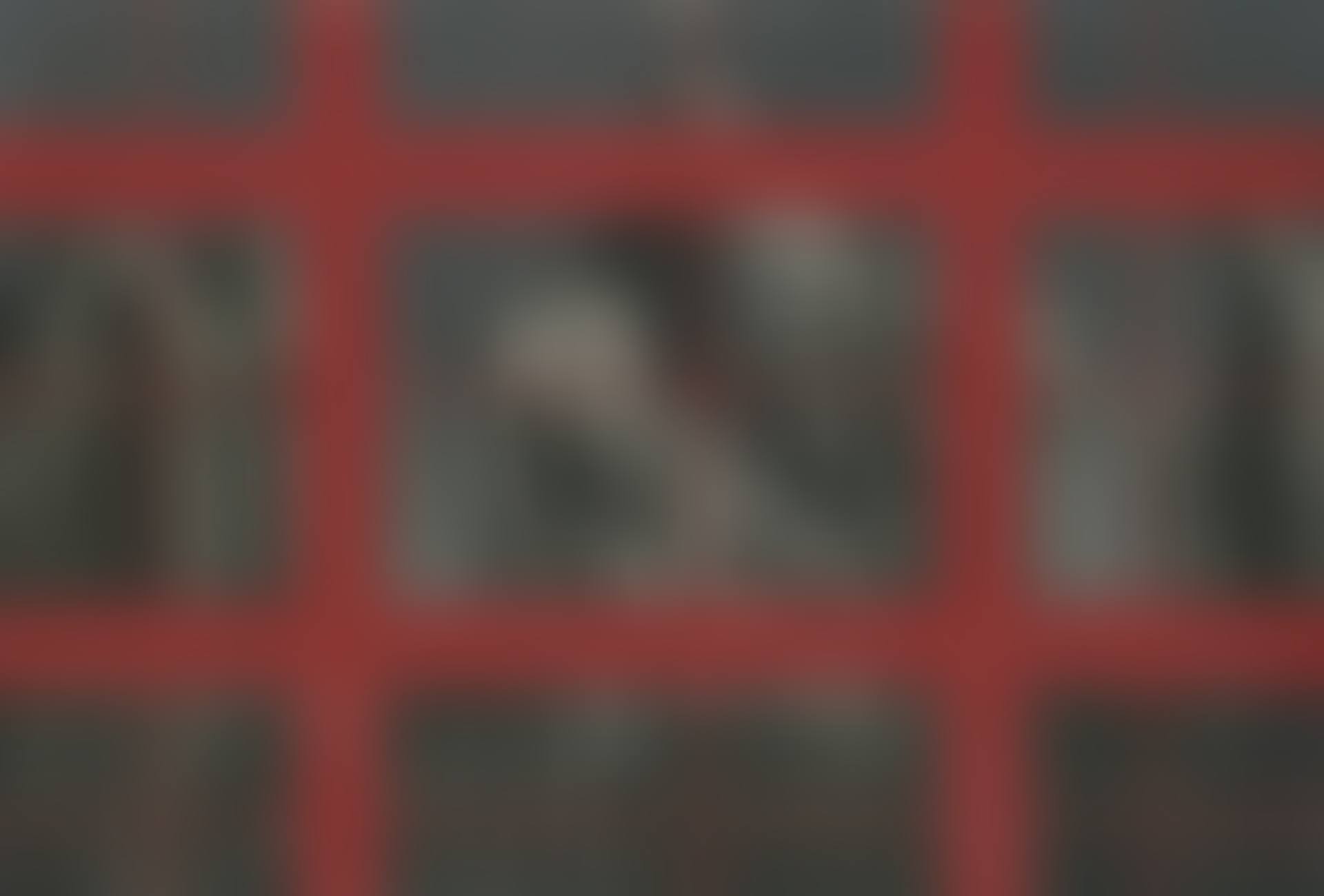 Red Rationality: Revision of Idols (preview)