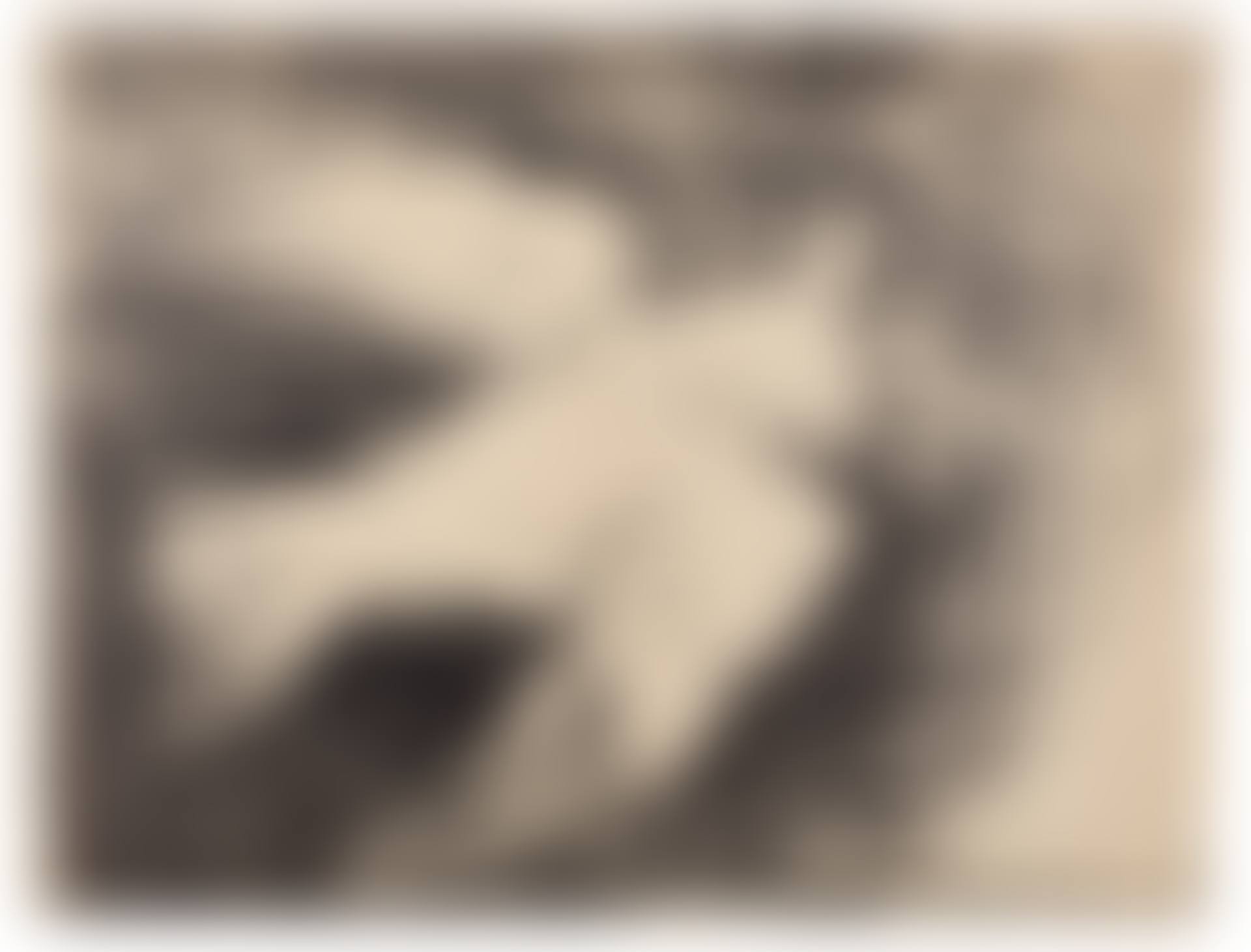 La Colombe volante, fond noir (preview)