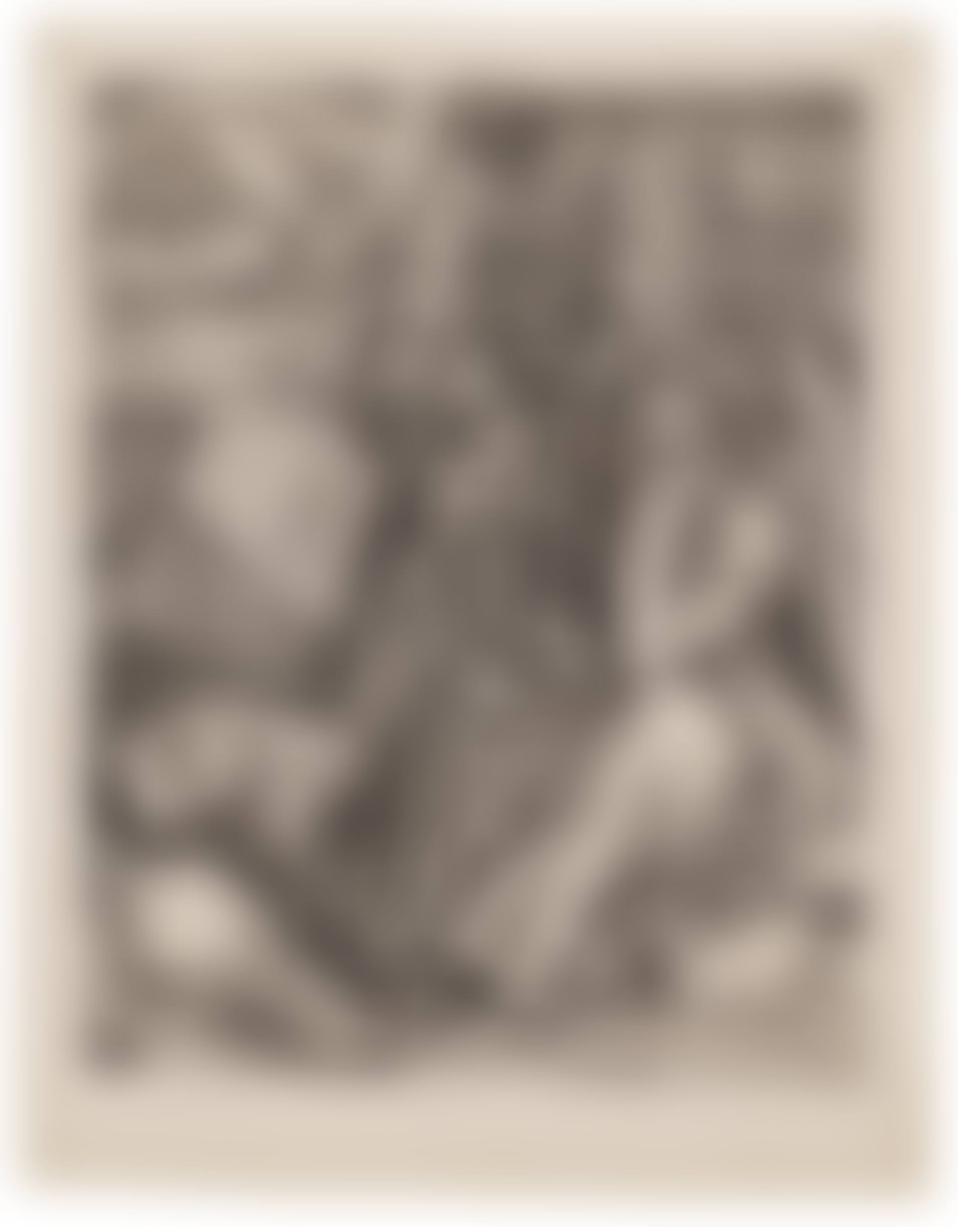 Melencolia I (preview)