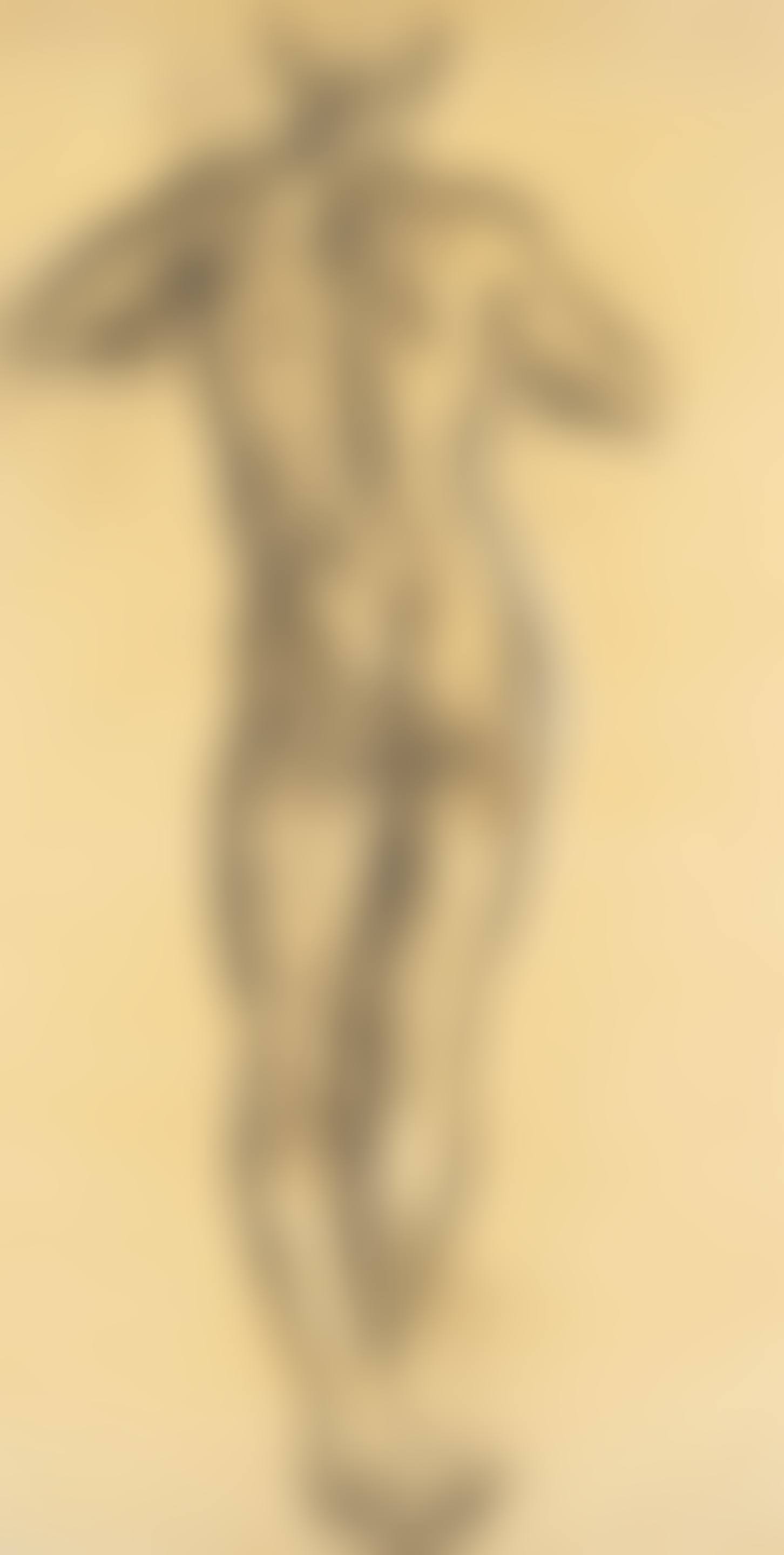 Paul Roche Standing (preview)