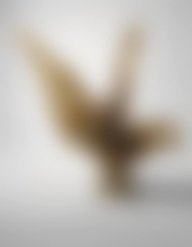 A BIRD (preview)