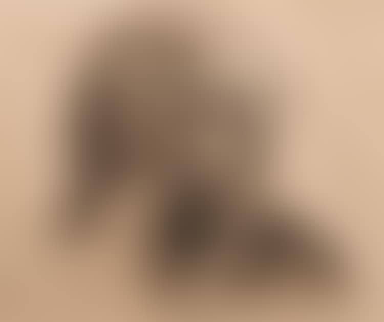 SELF PORTRAIT (preview)